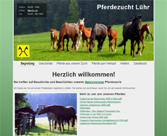 Picture of the Pferdezucht Lühr website